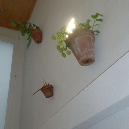 埃尔罗西奥 Rural Rocio酒店 外观 照片
